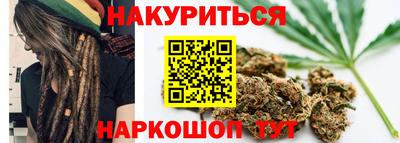 сатива Бузулук